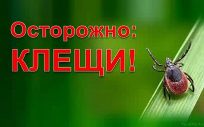 Осторожно клещи.