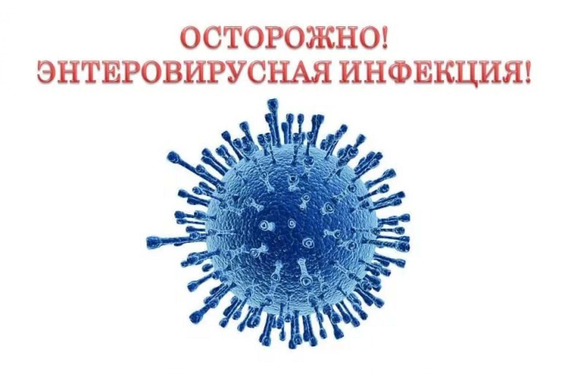 Памятки по профилактике энтеровирусyной инфекции