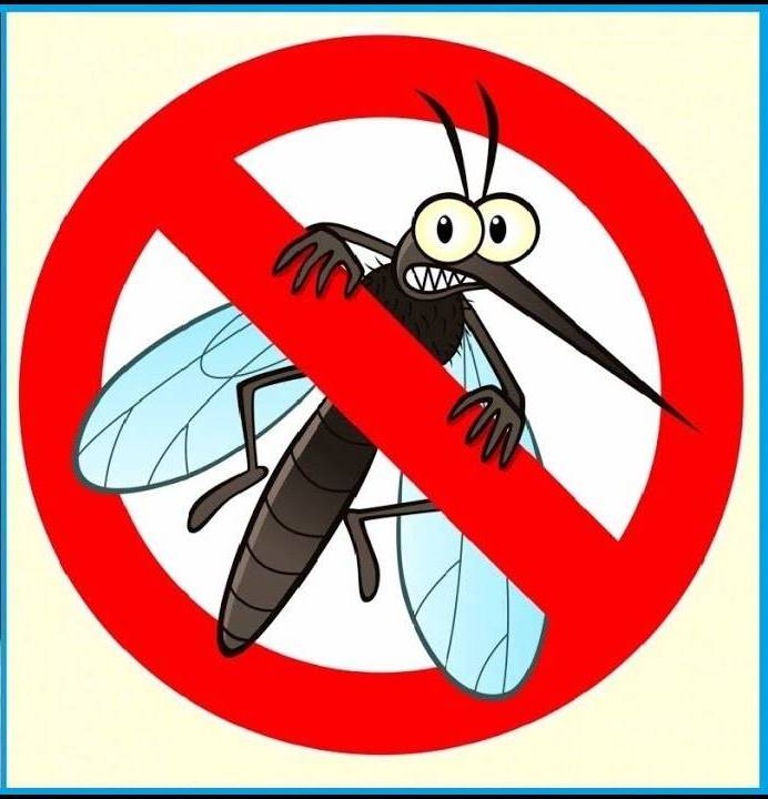 Памятка: Как защититься от мошек, комаров.